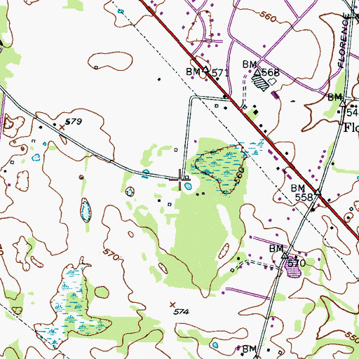 Topographic Map of Florence Church (historical), TN