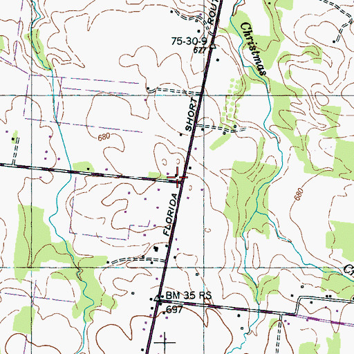 Topographic Map of Walnut Grove Church (historical), TN