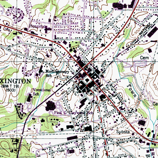 Topographic Map of Lexington City Hall, TN