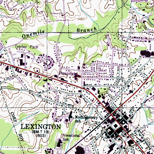 Topographic Map of Henderson County Community Hospital, TN