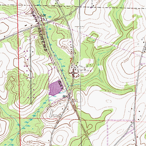 Topographic Map of Peace Missionary Church, AL