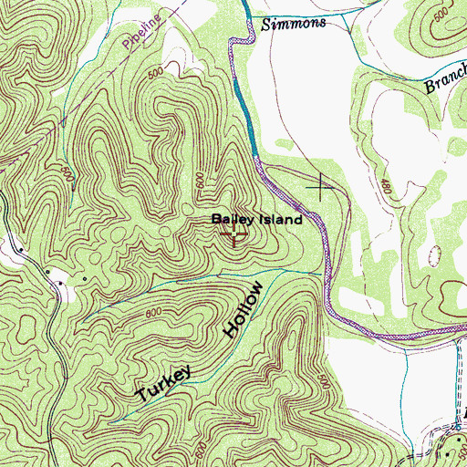 Topographic Map of Bailey Cemetery, TN
