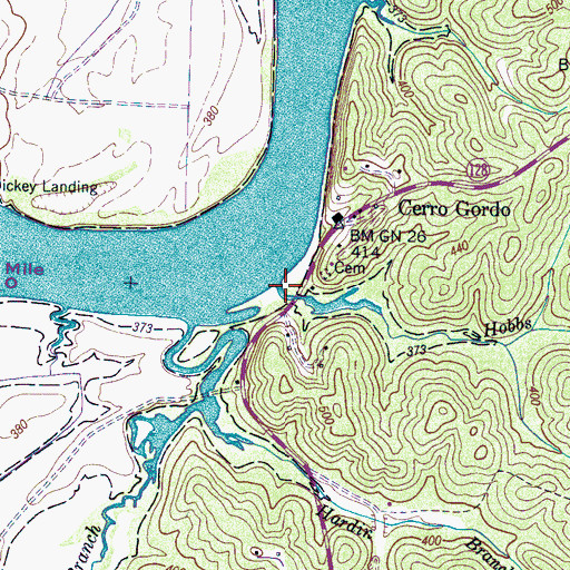 Topographic Map of Cerro Gordo Landing, TN