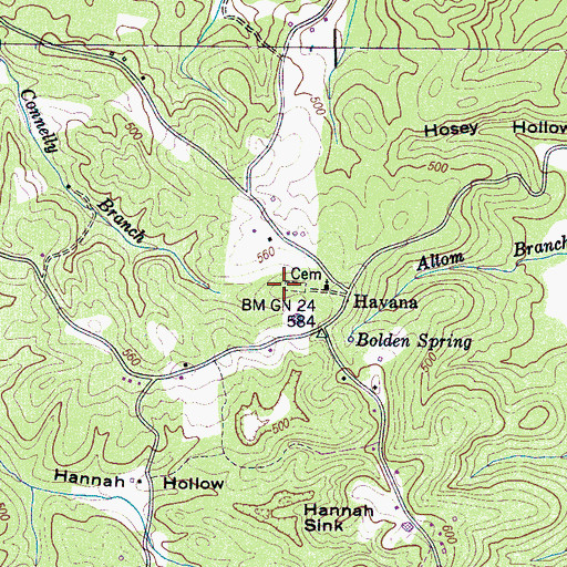 Topographic Map of Havana School (historical), TN
