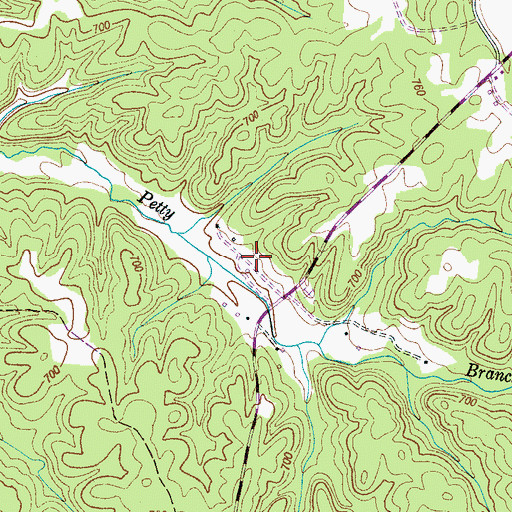 Topographic Map of Petty Branch Cemetery, TN