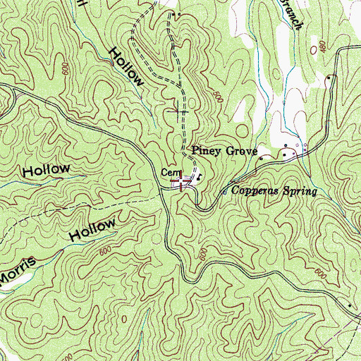 Topographic Map of Piney Grove Cemetery, TN