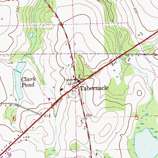 Topographic Map of Tabernacle Methodist Church, AL