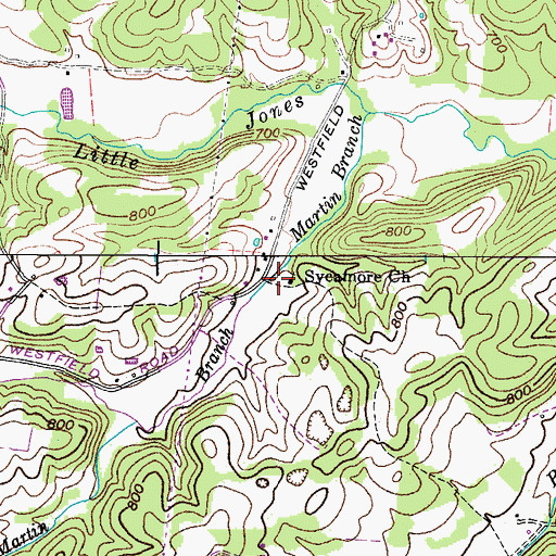 Topographic Map of Sycamore School (historical), TN