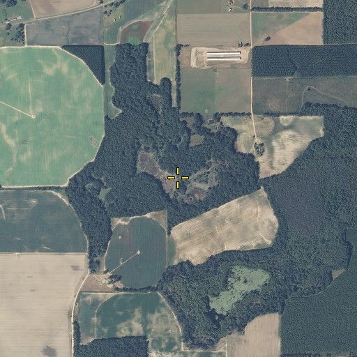 Aerial/Satellite Image of White Pond (historical), AL