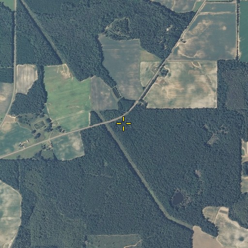 Aerial/Satellite Image of Williams Chapel (historical), AL