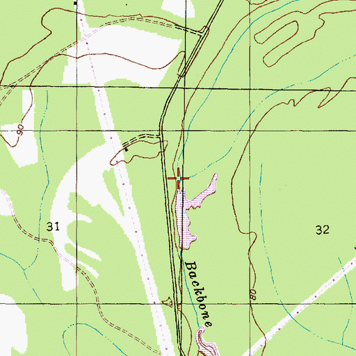 Topographic Map of Big Slough, AL