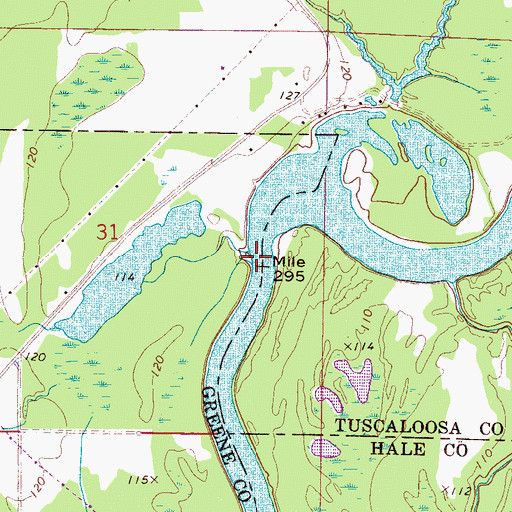 Topographic Map of Bohannons Bar, AL
