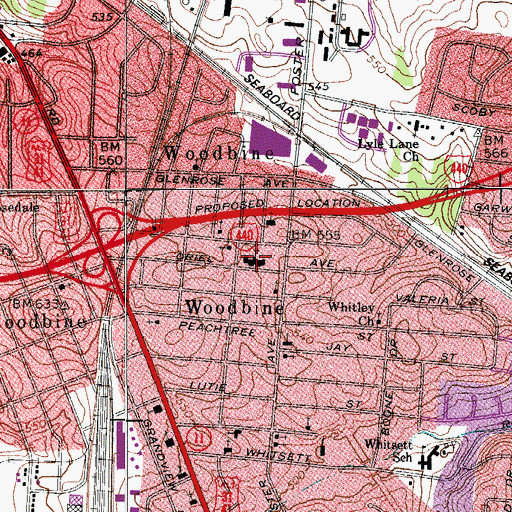 Topographic Map of Woodbine School, TN