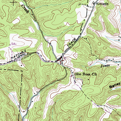 Topographic Map of Sheboss Cemetery, TN
