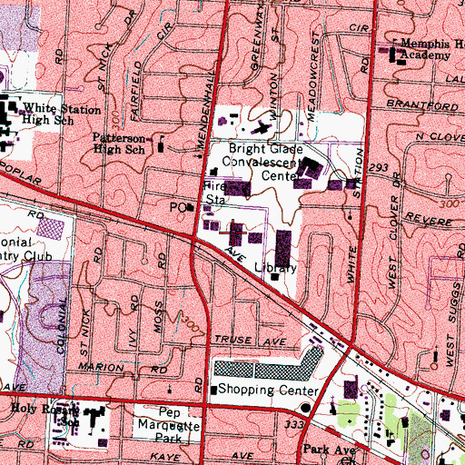 Topographic Map of Williamsburg Village Shopping Center, TN