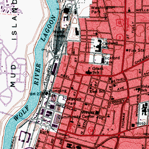 Topographic Map of New True Vine Missionary Baptist Church, TN
