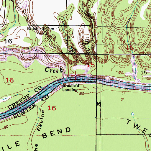 Topographic Map of Forkland Bar, AL
