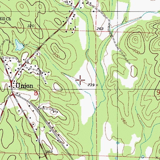 Topographic Map of Hopewell Church, AL