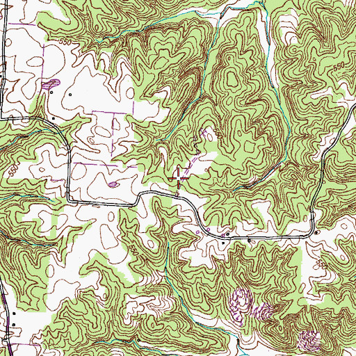 Topographic Map of Willoughby Cemetery, TN