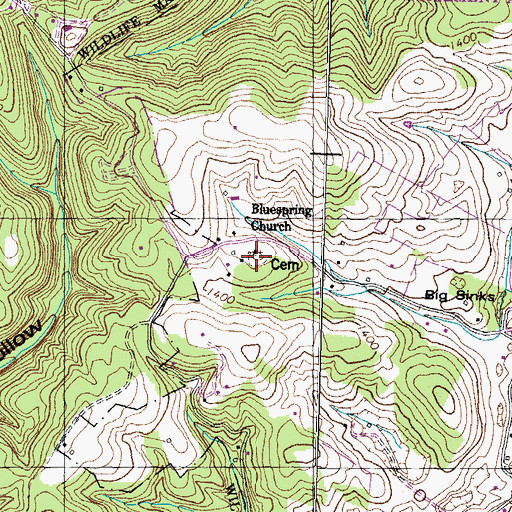 Topographic Map of Blue Springs Cemetery, TN