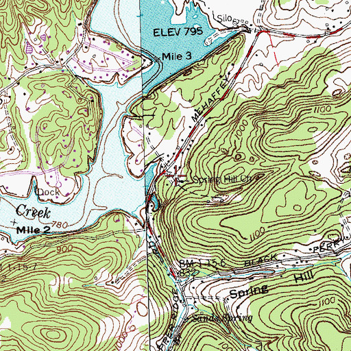 Topographic Map of Spring Hill Cemetery, TN