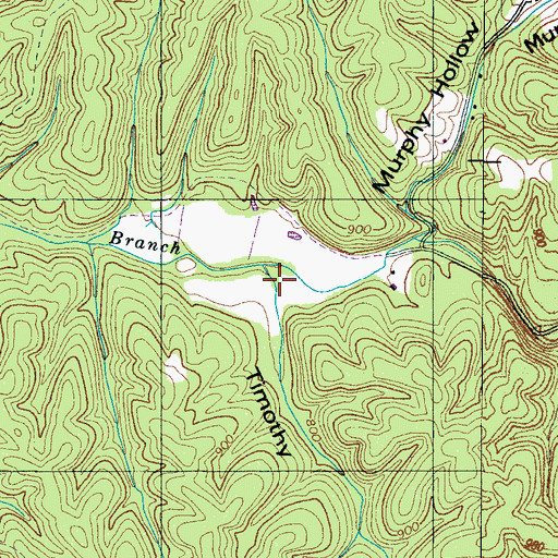 Topographic Map of Timothy Hollow, TN