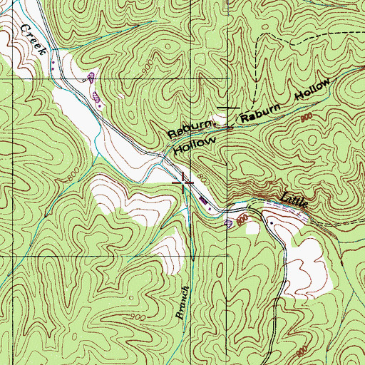 Topographic Map of Fall Branch, TN