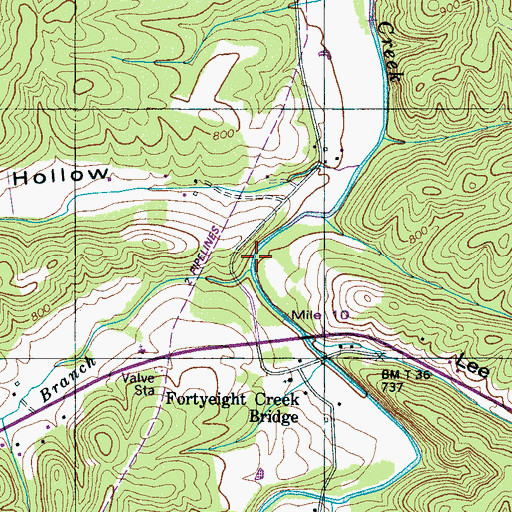 Topographic Map of Furnace Branch, TN