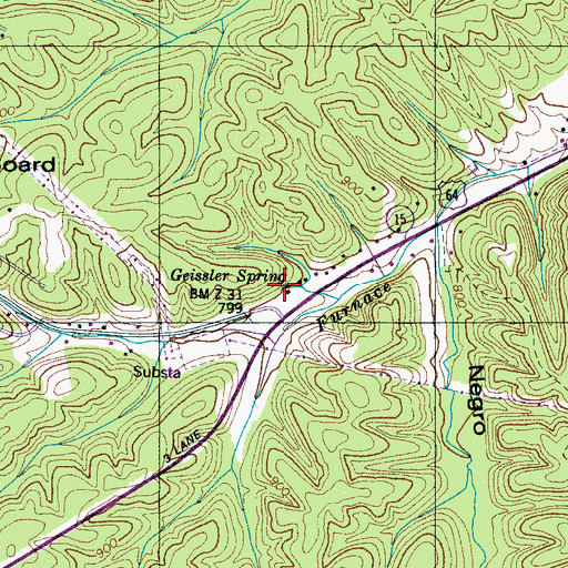 Topographic Map of Geissler Spring, TN