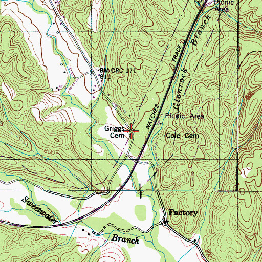 Topographic Map of Griggs Cemetery, TN