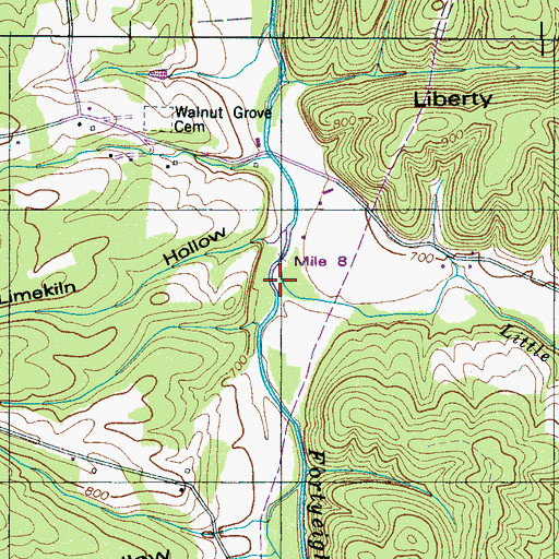 Topographic Map of Little Fortyeight Creek, TN