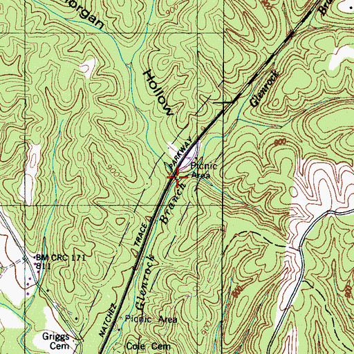 Topographic Map of Morgan Hollow, TN
