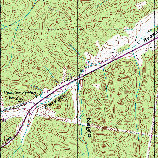 Topographic Map of Negro Hollow, TN