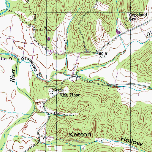 Topographic Map of Oldtown Branch, TN