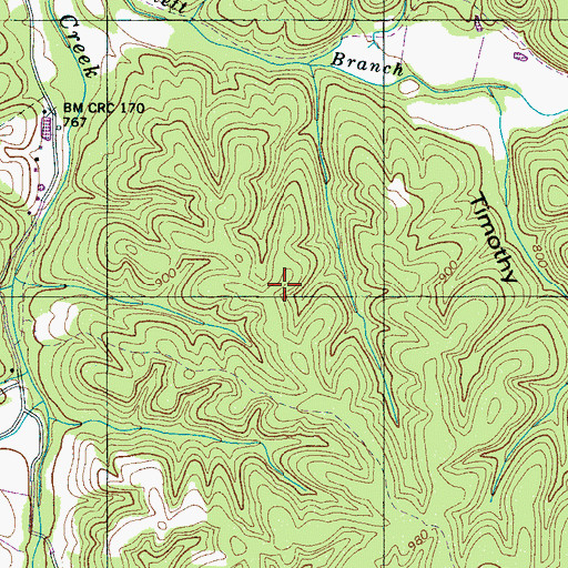 Topographic Map of Buchanan Prospects, TN