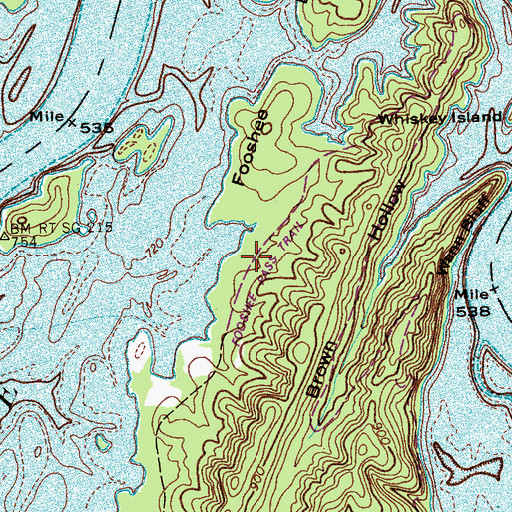 Topographic Map of Fooshee Pass Trail, TN