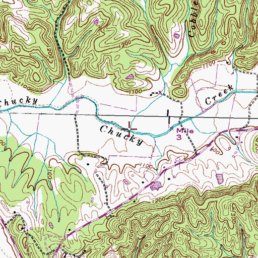 Topographic Map of Cobble Branch, TN