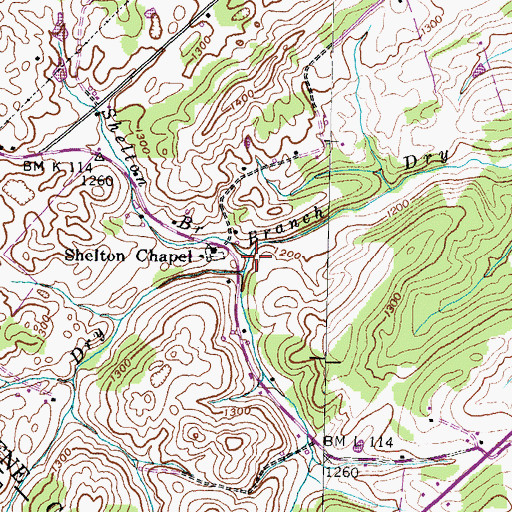 Topographic Map of Shelton Branch, TN
