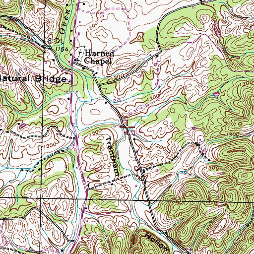 Topographic Map of Trantham Hollow, TN