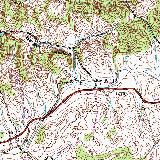 Topographic Map of Barger Hollow, TN