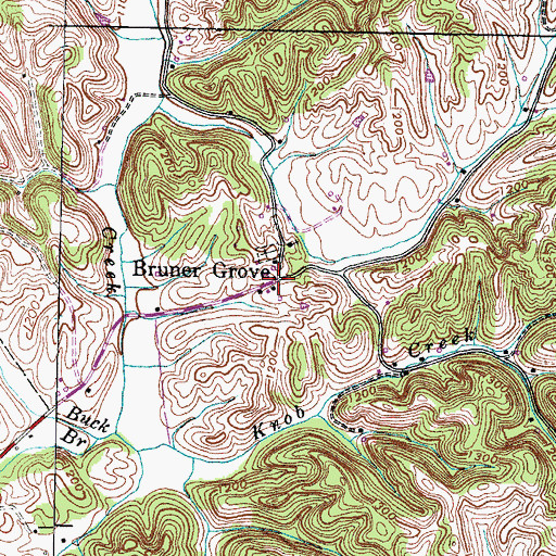 Topographic Map of Bruner Grove, TN