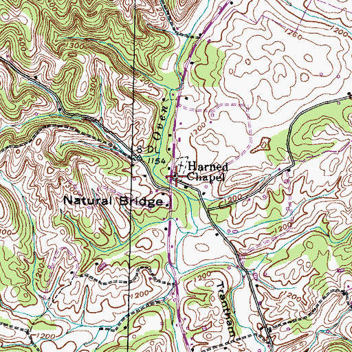 Topographic Map of Harned Chapel, TN