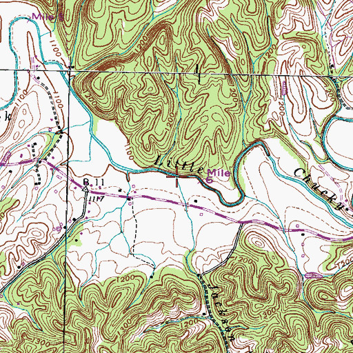 Topographic Map of Jackson Branch, TN