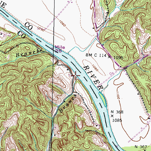Topographic Map of Needmore Branch, TN