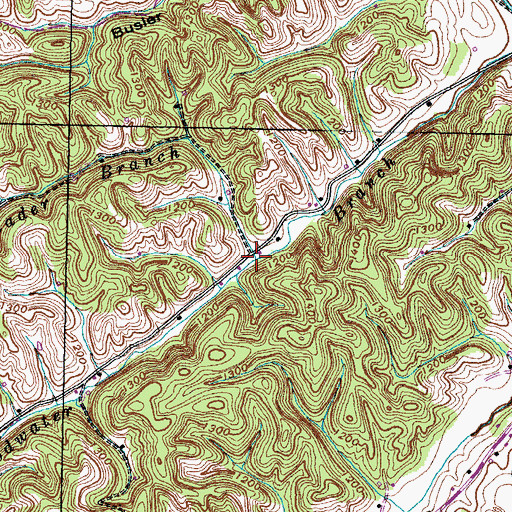 Topographic Map of Rader Branch, TN