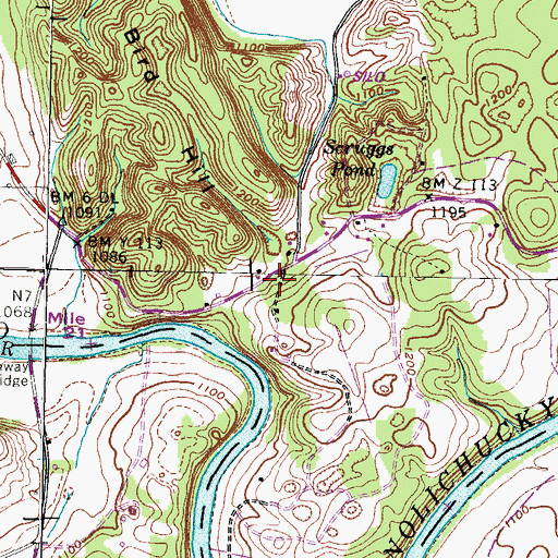 Topographic Map of Bird Hill, TN