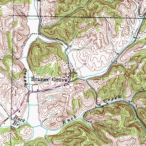 Topographic Map of Bruner Grove United Methodist Church, TN