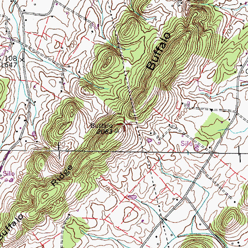 Topographic Map of Buffalo Ridge, TN