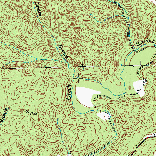 Topographic Map of Carden Branch, TN