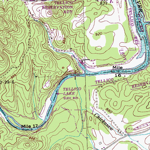 Topographic Map of Chickasaw Branch, TN